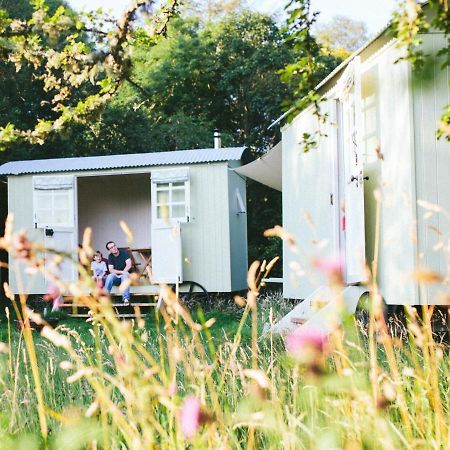 Snowdonia Shepherds' Huts コンウィ エクステリア 写真