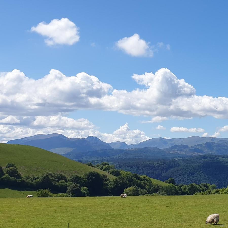 Snowdonia Shepherds' Huts コンウィ エクステリア 写真
